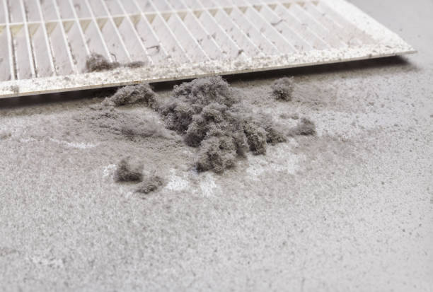 Best Home Air Vent Cleaning  in Arcadia, IN