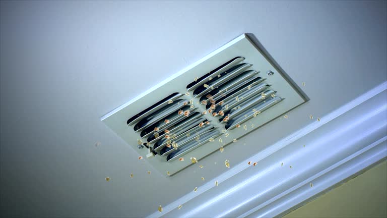 Best Air Duct Cleaning Near Me  in Arcadia, IN