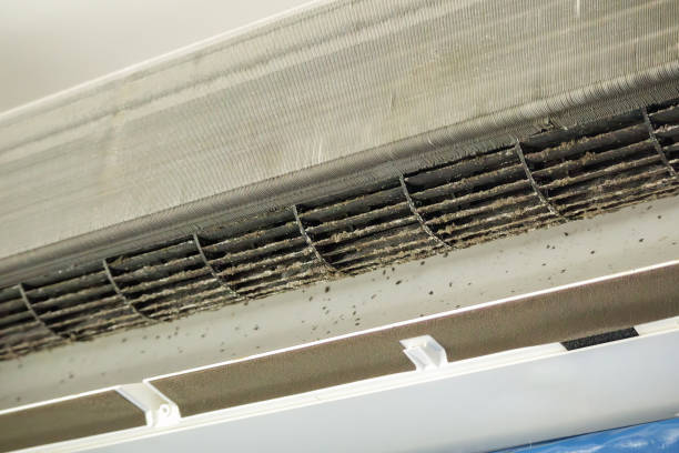 Best Residential Air Duct Cleaning  in Arcadia, IN