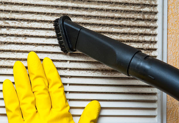 Best Professional Duct Cleaning Services  in Arcadia, IN